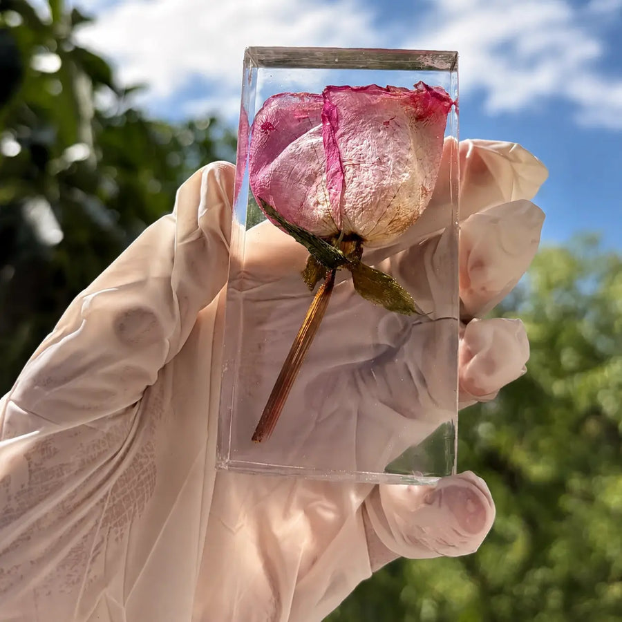 Rose Preservation