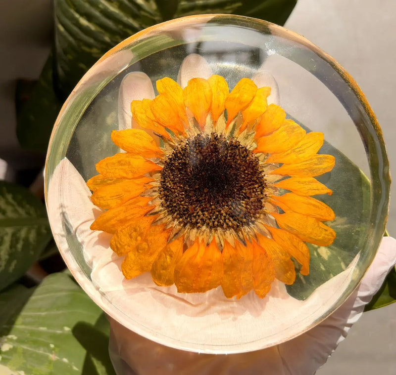 Sunflower Preservation epoxy resin India — FLEX 3:1 Resin Kit